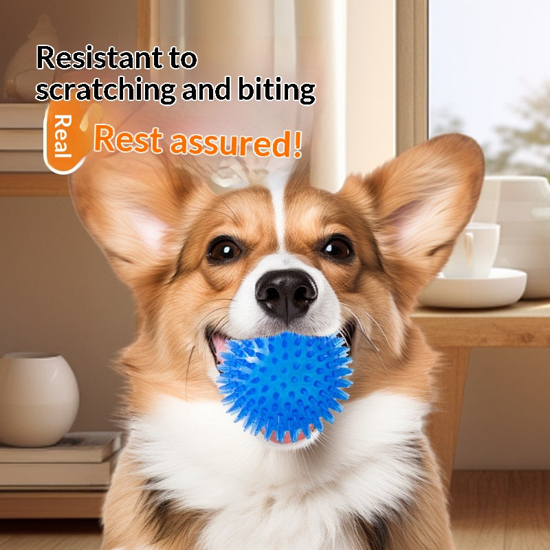 Dog Toy Ball