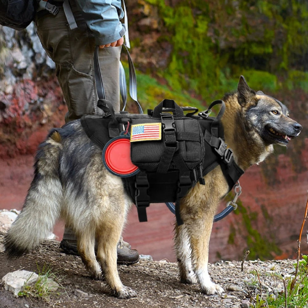 Fashionable And Personalized Padded Nylon Dog Vest