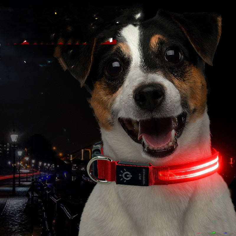 LED Waterproof Pet Collar For Night