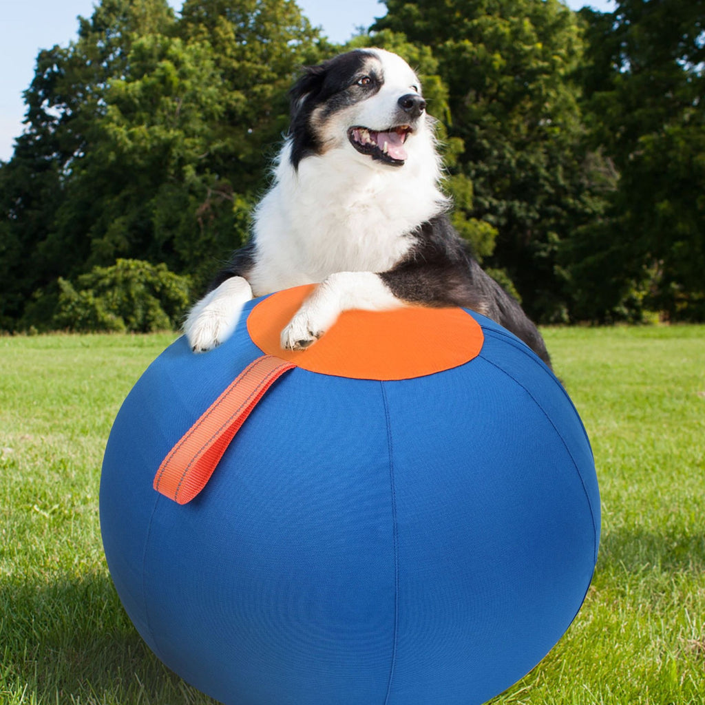 Complete Set Of Golden Retriever Chew-Resistant Balls For Entertainment
