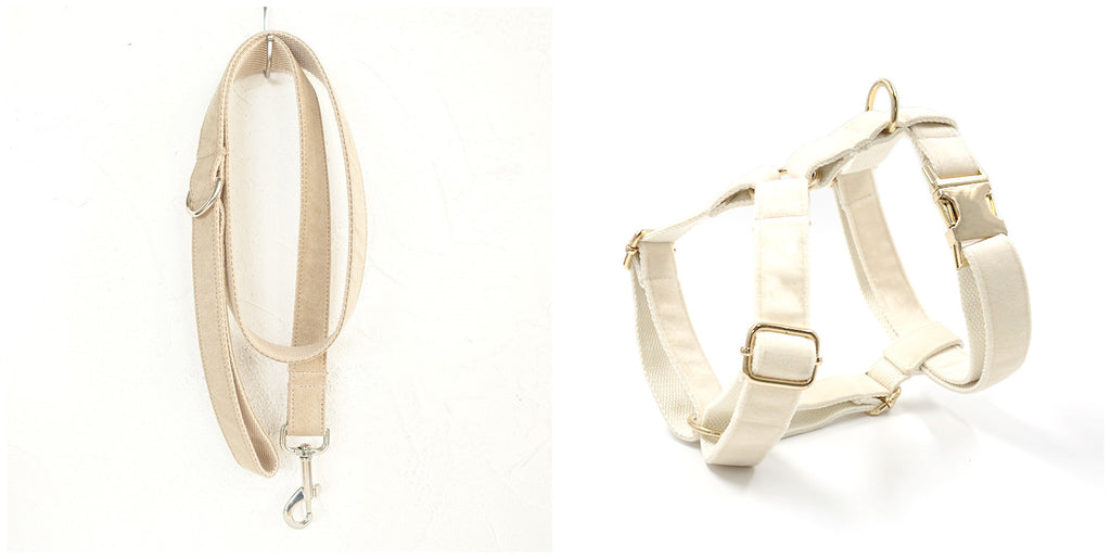 Dog Collar Traction Rope