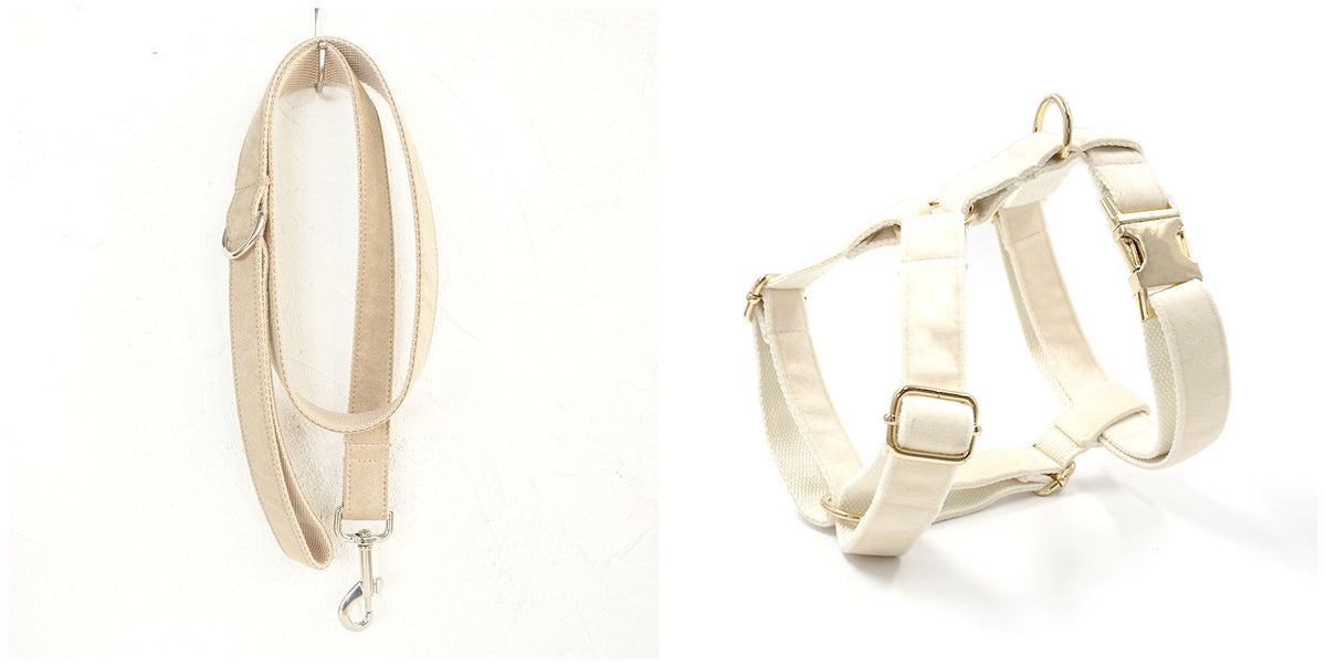 Dog Collar Traction Rope