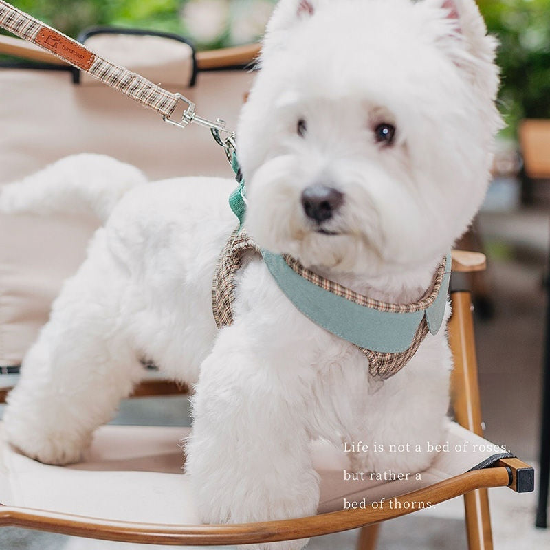Fashion Small Dog Harness Vest