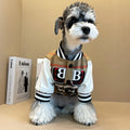 Winter Wool Padded Dog Jacket