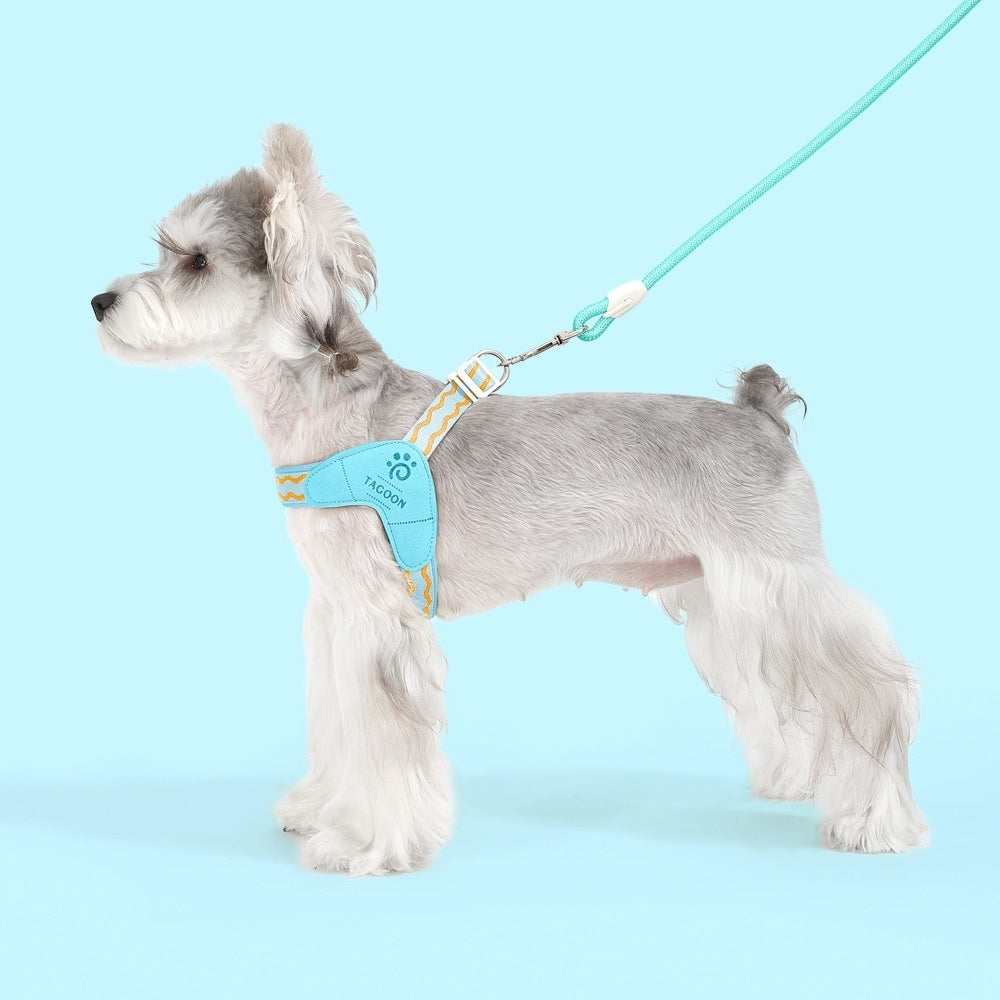 Portable Y-Shaped Dog Harness for Walking