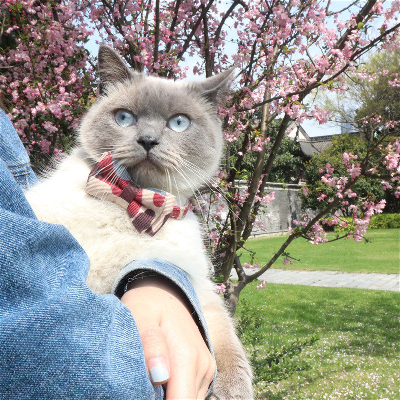 Camouflage Series Bowknot Pet Collar