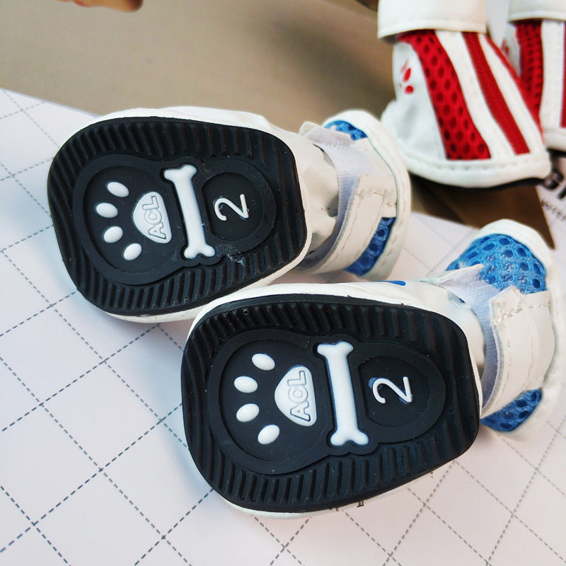 Vip Teddy Schnauzer Zipper Pet Sneaker