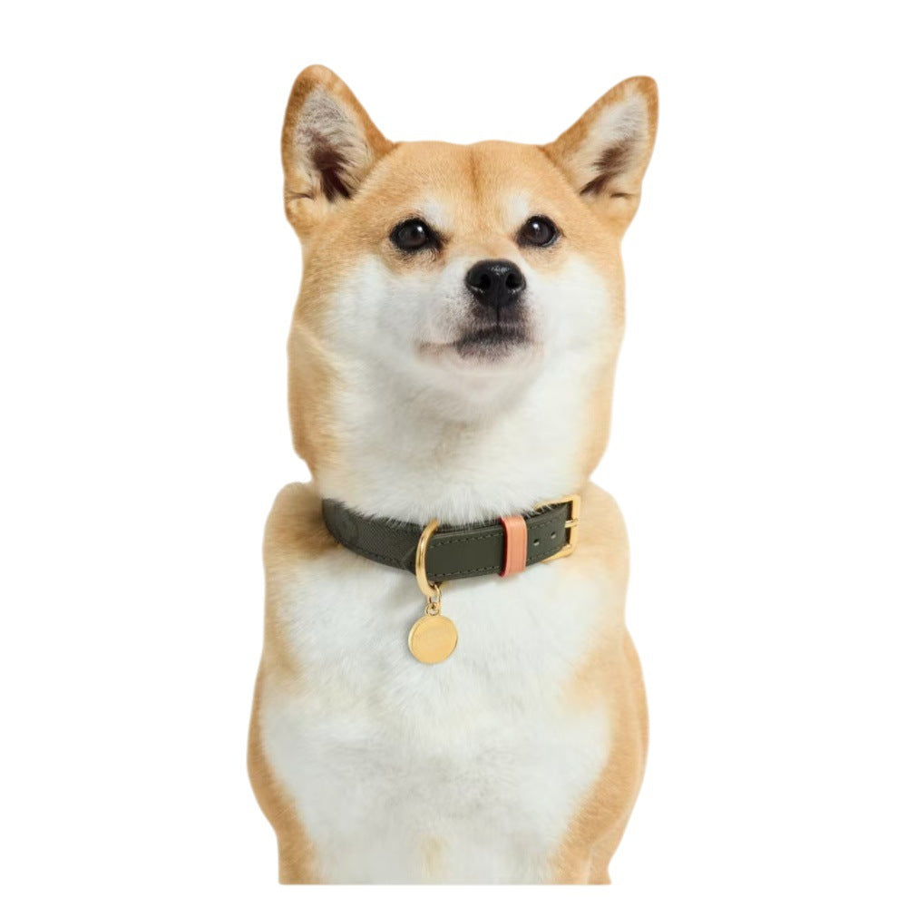 Affordable Luxury New Pet Genuine Leather Collar