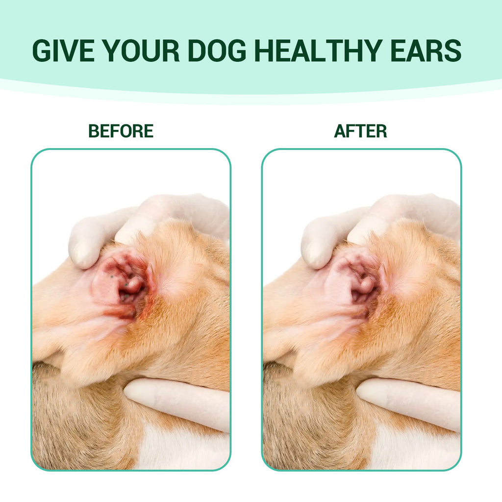 Pet Ear Cleaning Liquid 60Ml