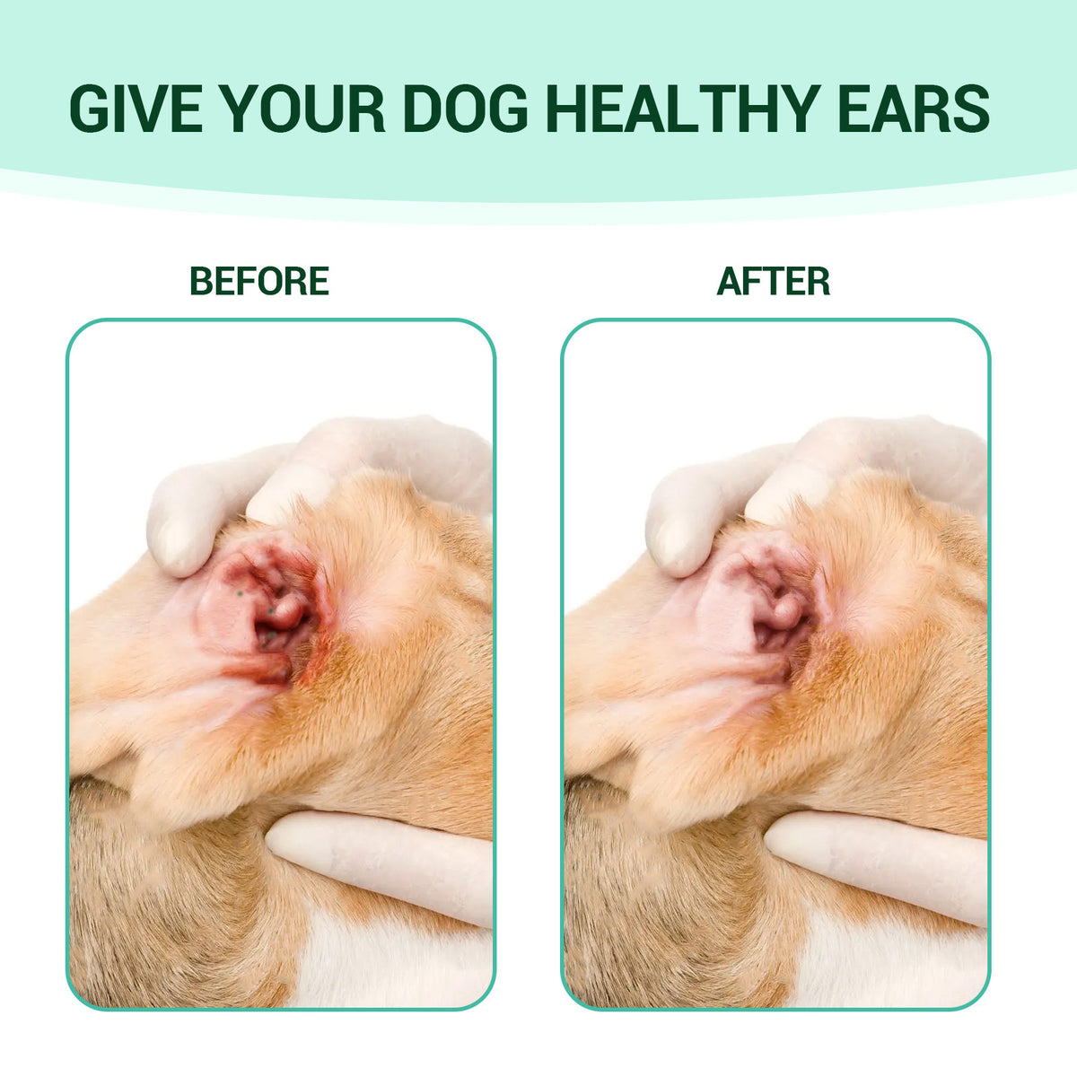 Pet Ear Cleaning Liquid 60Ml