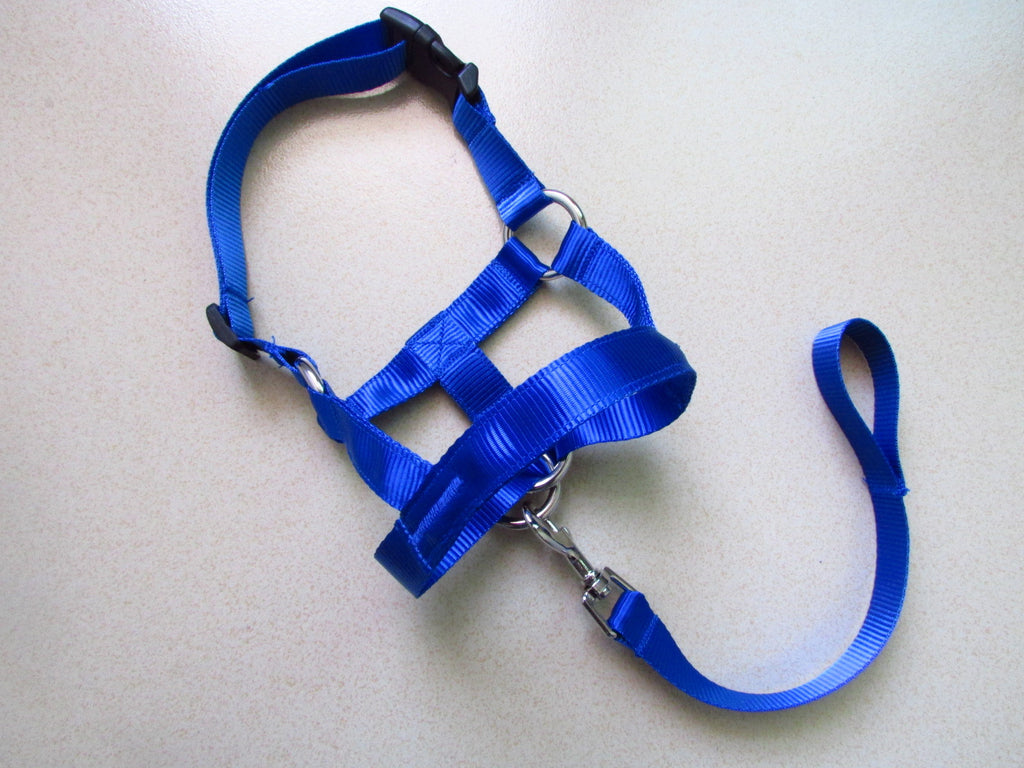 Anti-Riot Rushing Dog Traction Rope For Dog Walking