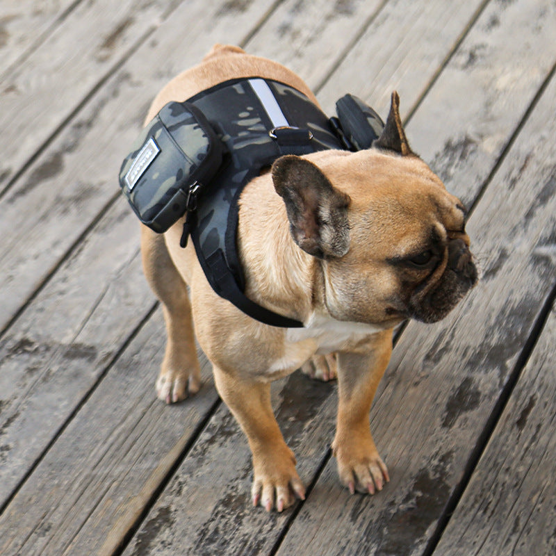 Go Out Portable Multi-Function Pet Backpack With Leash