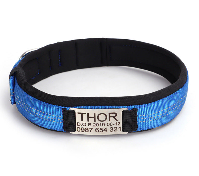 Engraved Anti-Loss Dog Collar