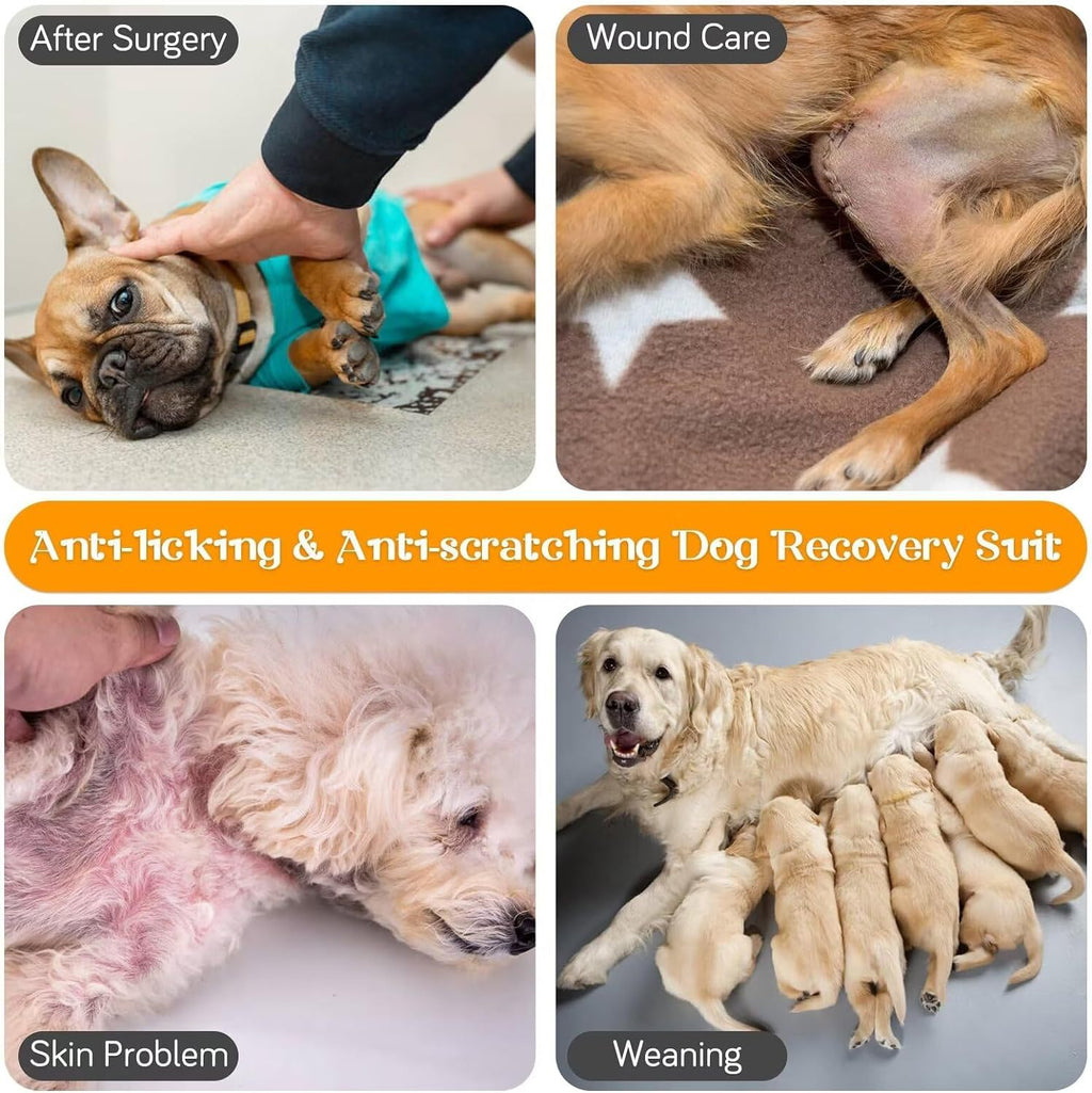 Soft Dog Recovery Suit After Surgery