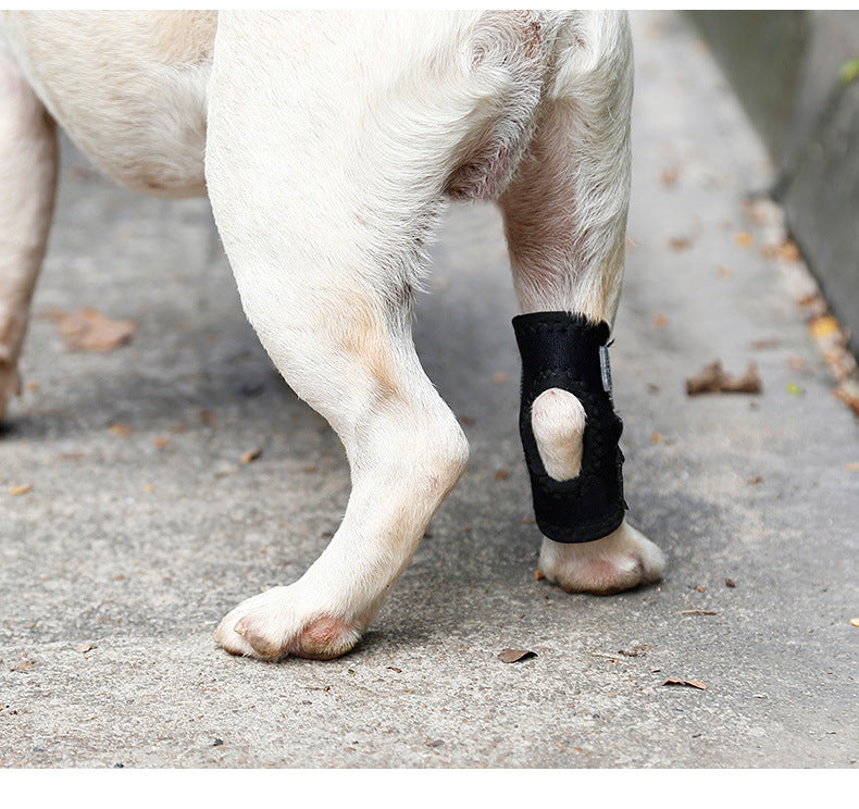 Dog Injured Anti-Lick Joint Fixation And Recovery Auxiliary Strap