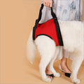 Pet Safety Protection Belt