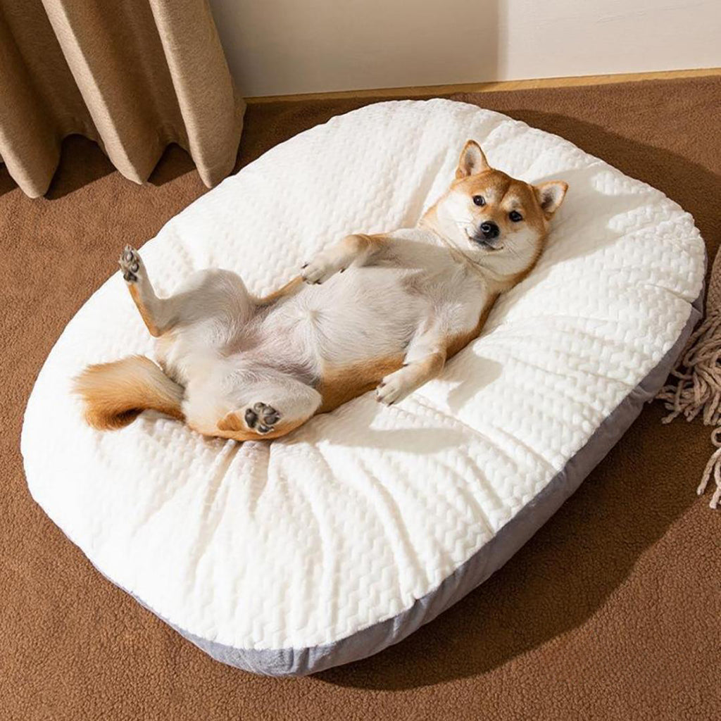 Oval Washable Dog Bed for Large Dogs