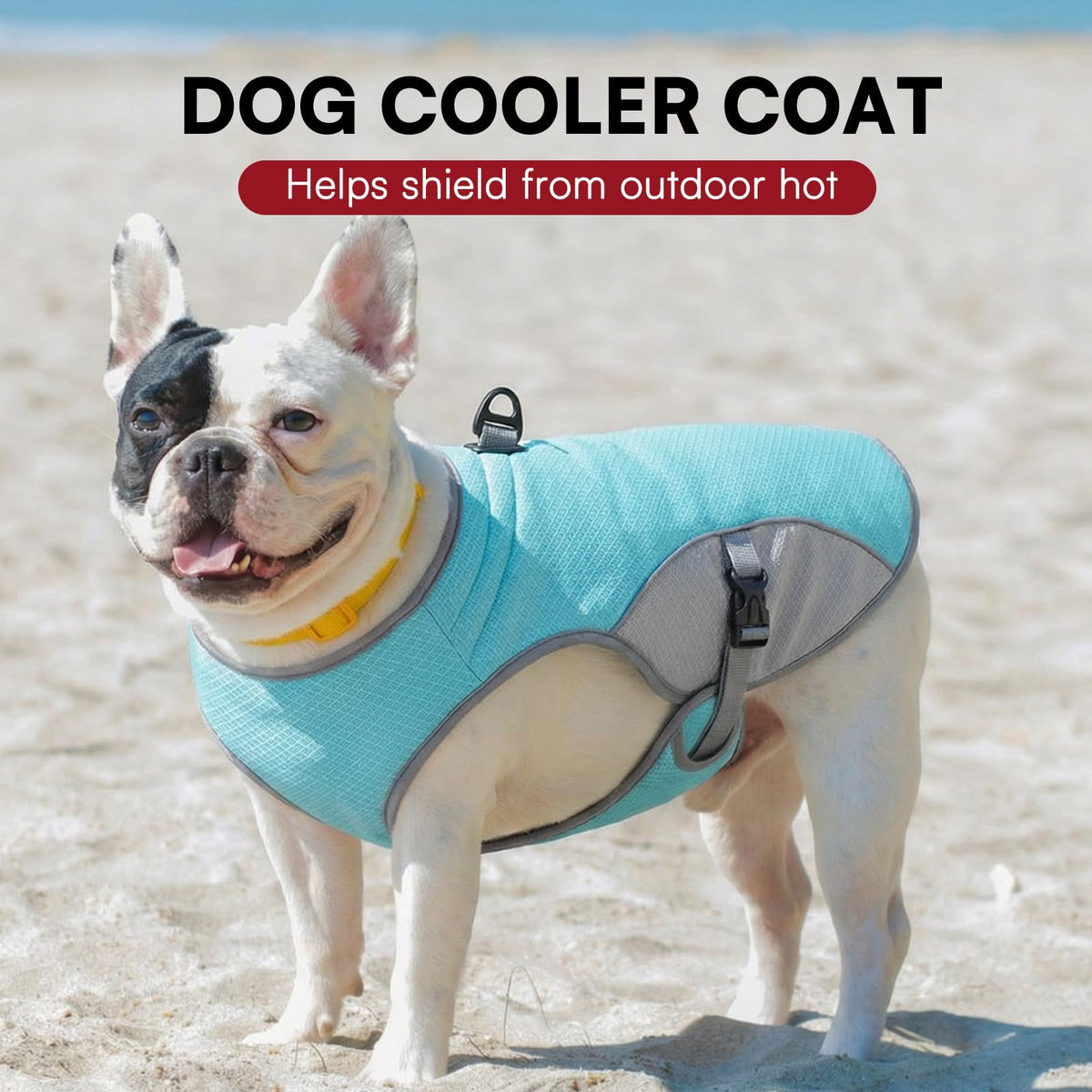 Large Dog Reflective Mesh Cooling Vest