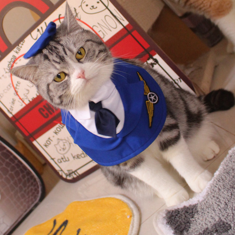 Fashion Personalized Dog Fighter Neck Clothing