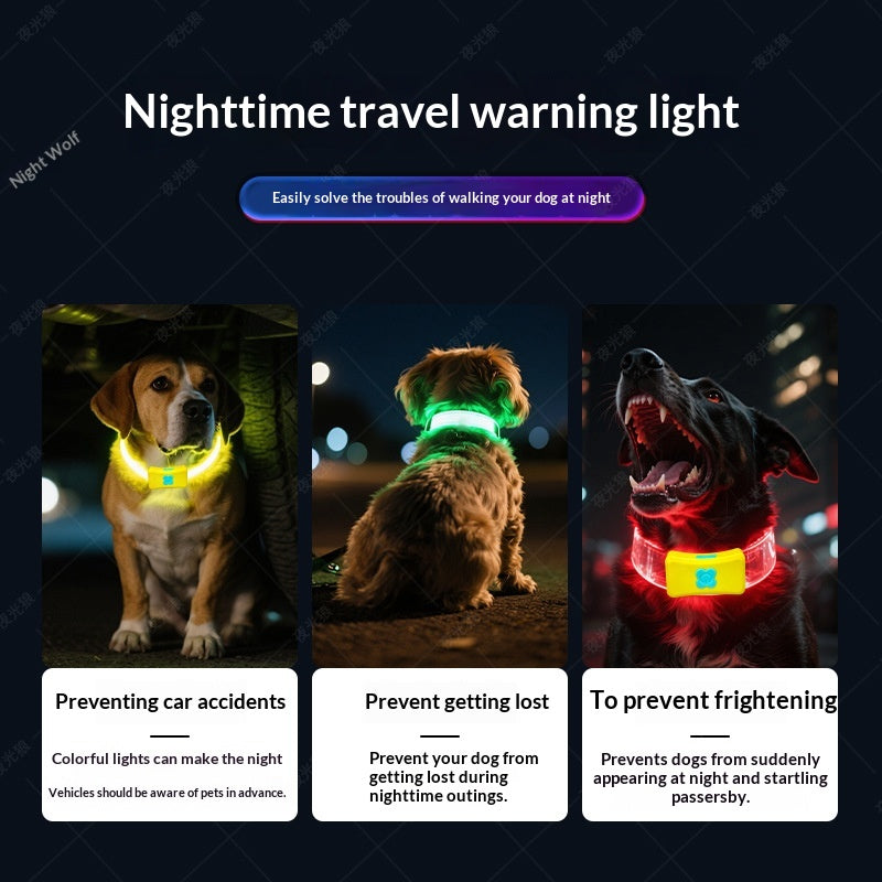 Glowing Dog Collar For Nighttime Walks
