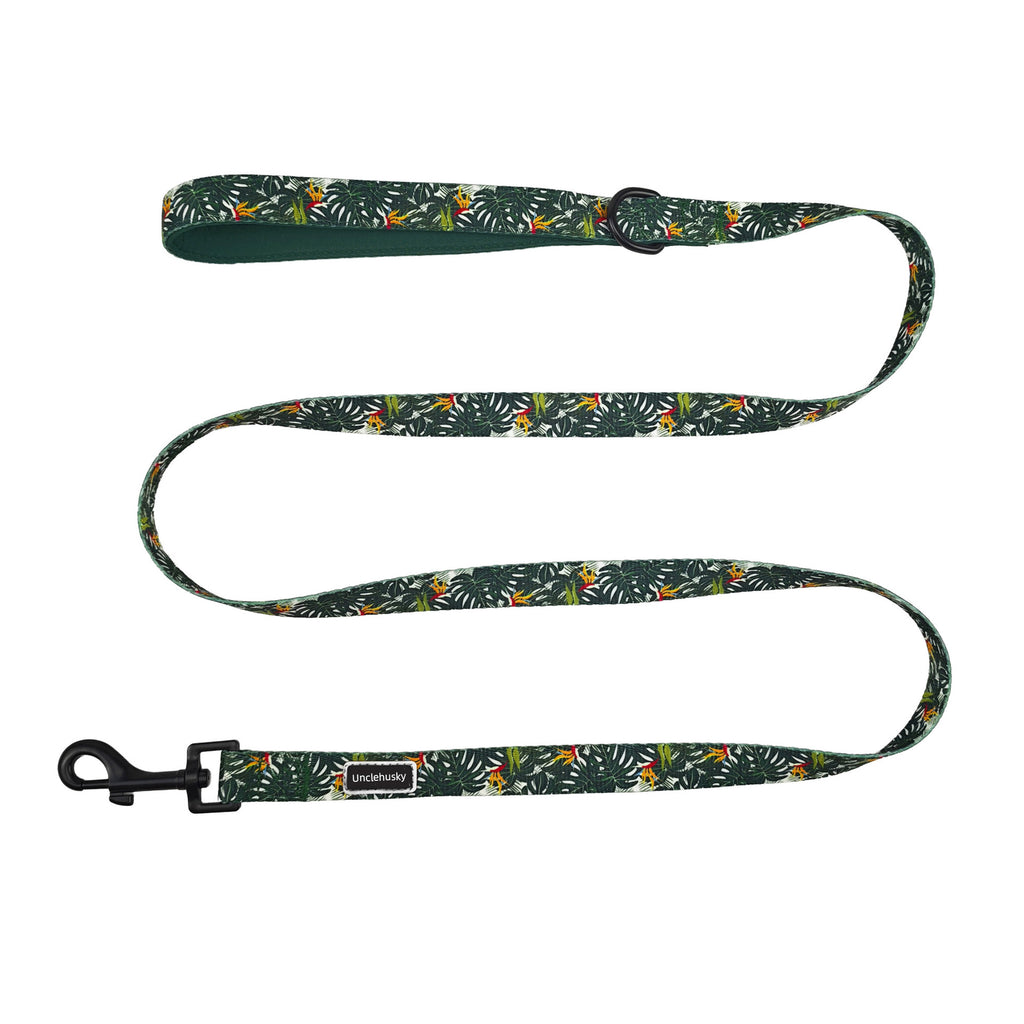 Dog Leash Harness And Collar Set