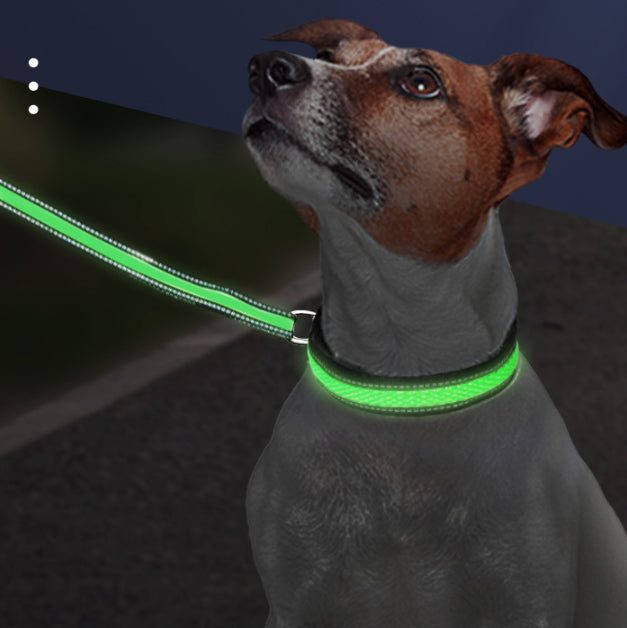 LED Luminous Nylon Mesh Dog Collar
