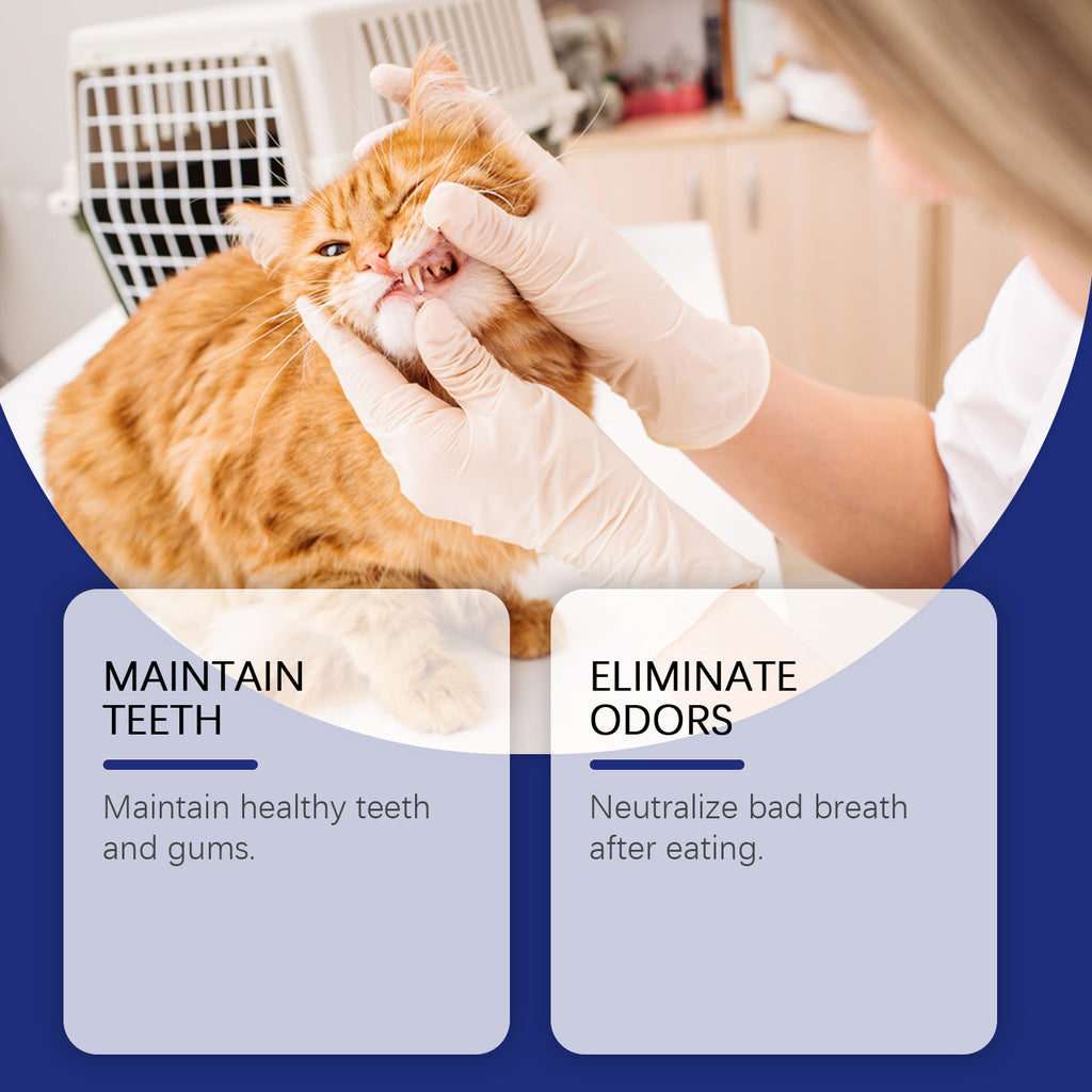 Pet Teeth Cleaning Powder
