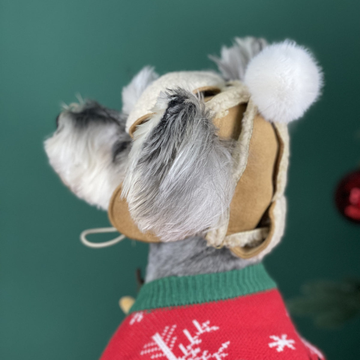 Warm Dog Hat