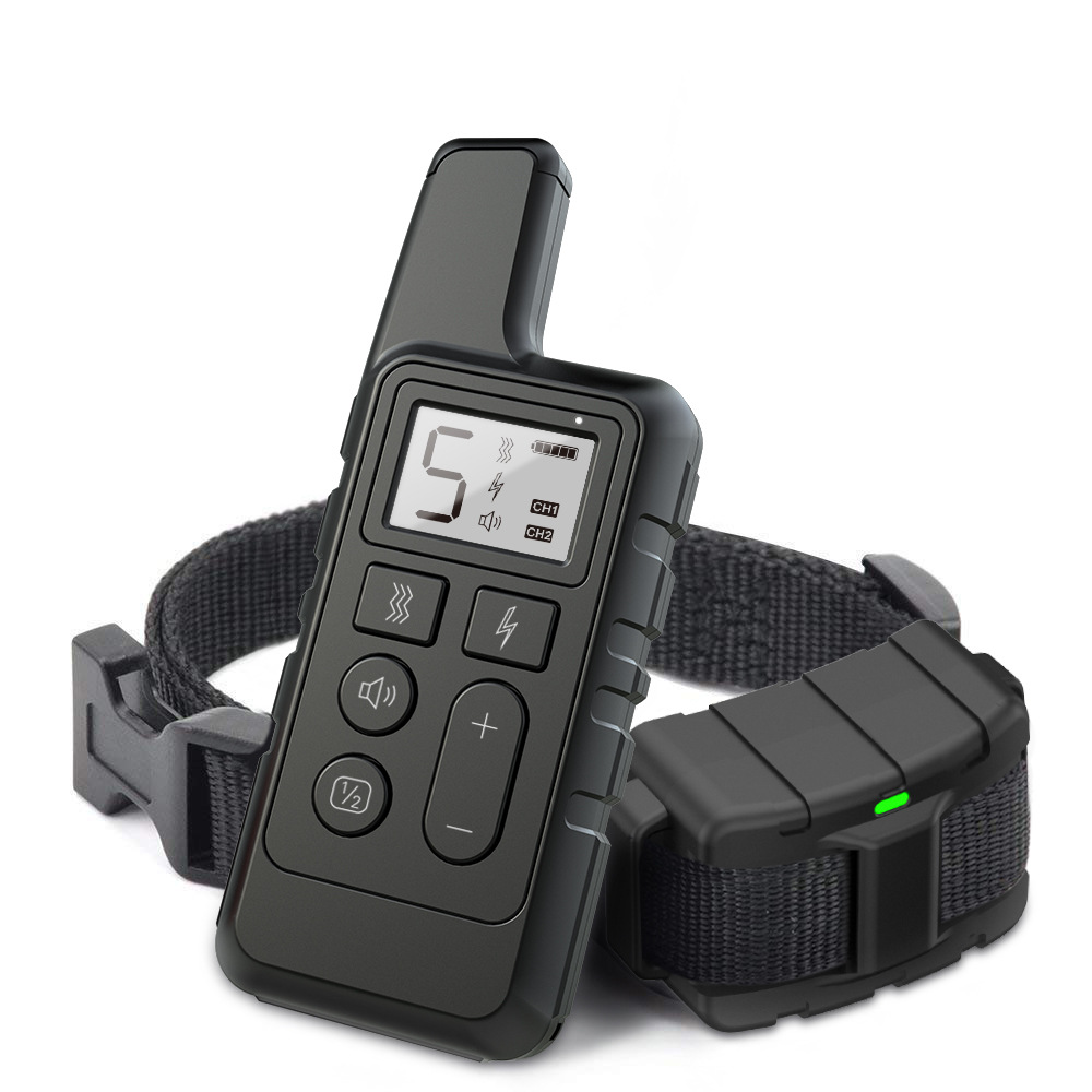 Black Dog Training Collar