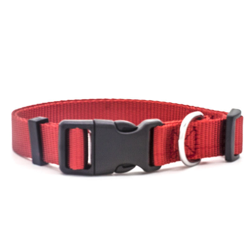 Durable Nylon Dog Collar