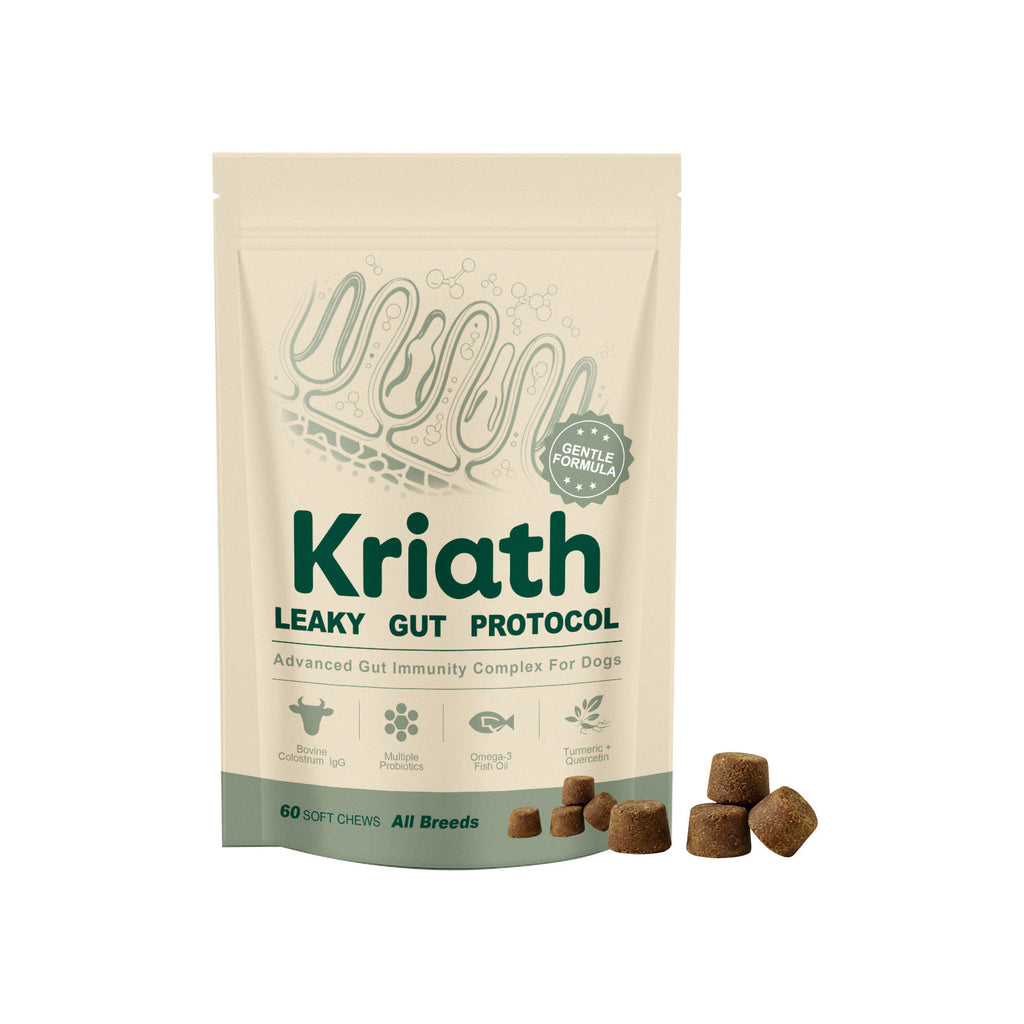 Dog Intestinal Care Complex Supplement