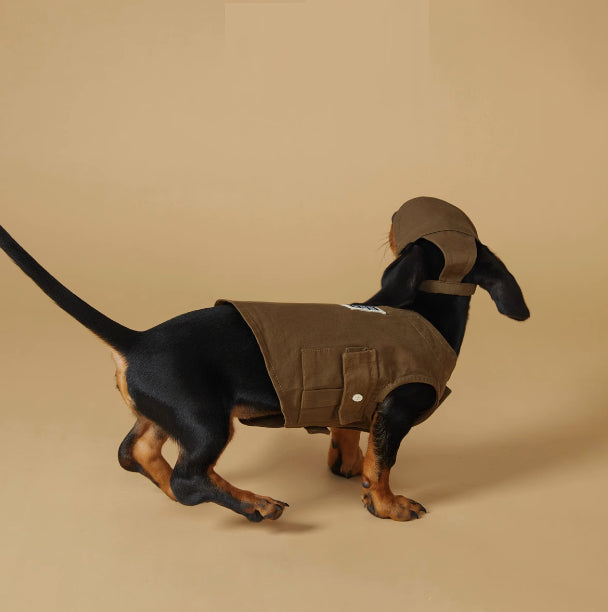 Spring And Summer Pet Sports Vest