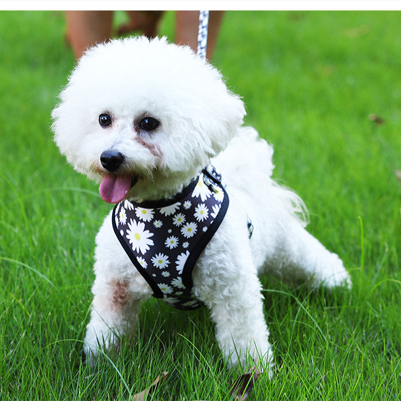 Breathable Dog Harness And Leash Set