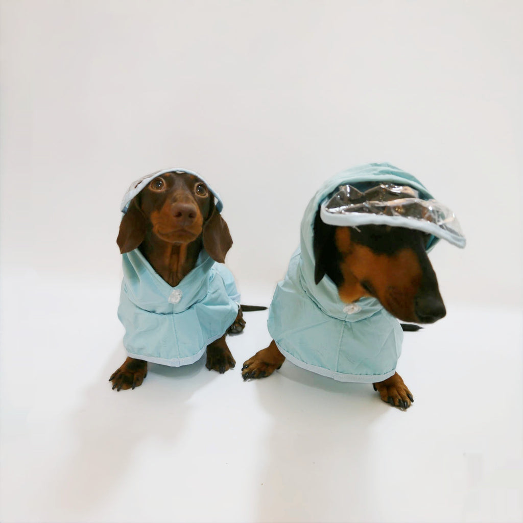 Dog Waterproof Hooded Poncho Raincoat