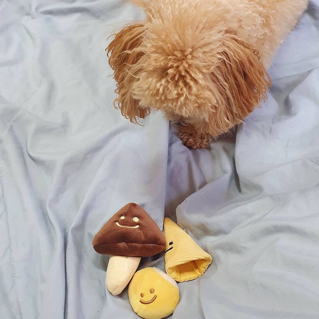 Mushroom Tibetan Food Vocal Toy Set Dog
