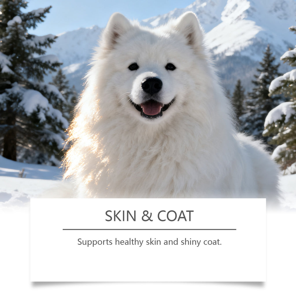 Kriath Dog Intestinal Essential Oil Drops Gentle Formula For Comfort And Care Of The Gastrointestinal Tract Oral Drops For Pets