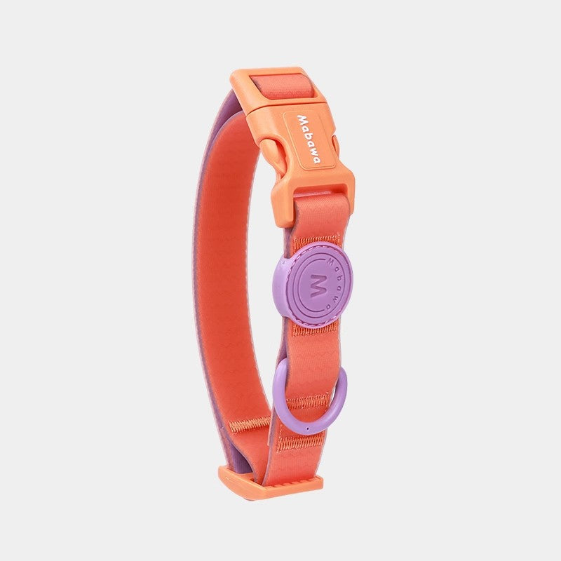 Waterproof Nylon Dog Collar With Traction Rope