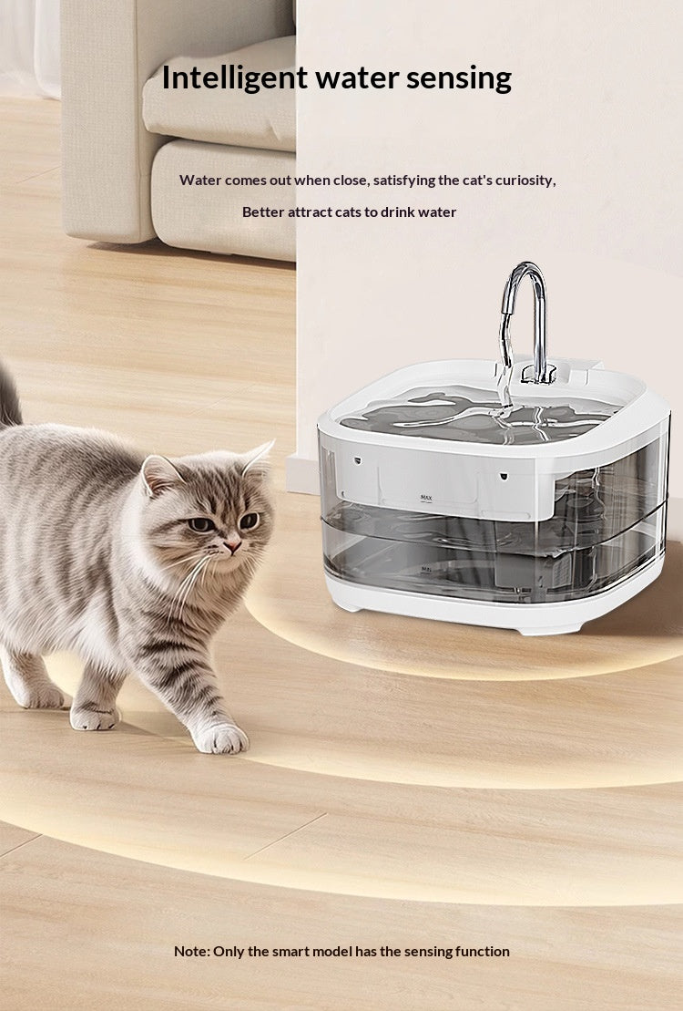 Large Transparent Automatic Filtered Pet Fountain