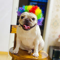 Dog Afro Wig With Bangs And Pigtail