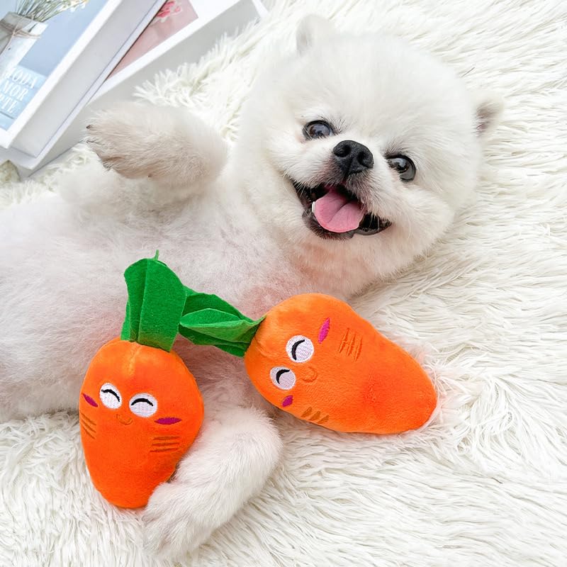 Plush Chicken Leg Dog Teething Toy