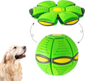 Six-Light Flying Saucer Dog Toy