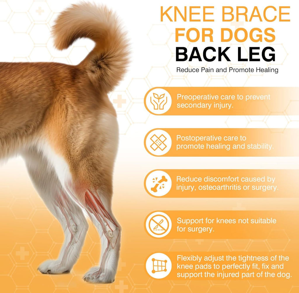 Dog Leg Protector with Knee Brace