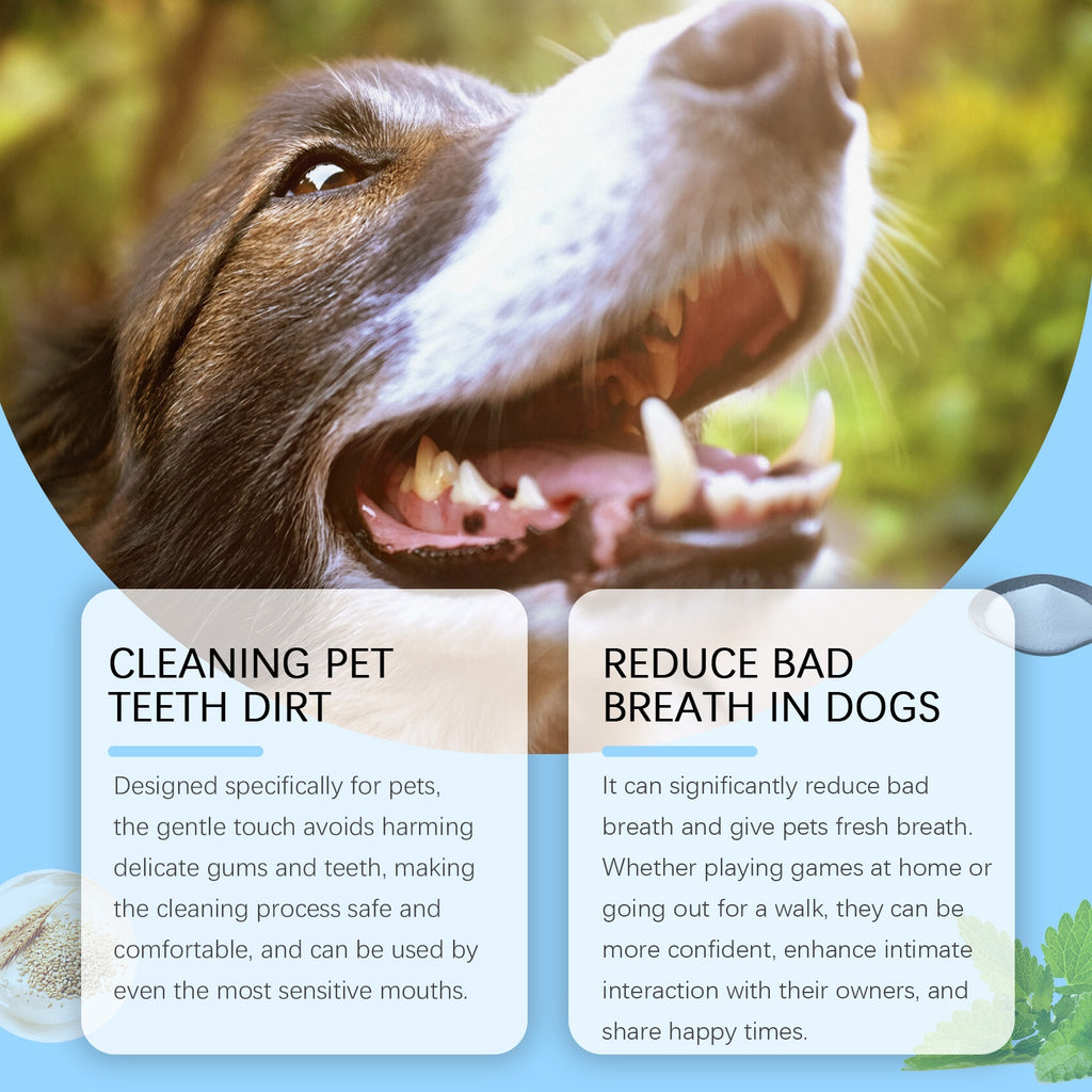 Soft Pet Toothbrush Pen