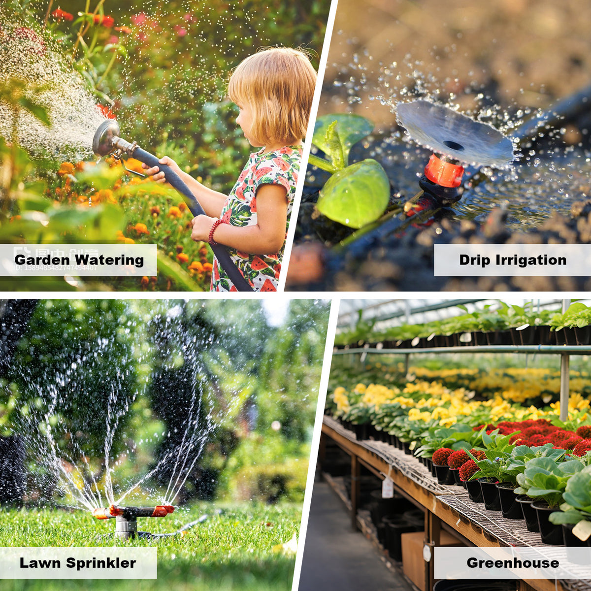 Single-Out Knob Timing Irrigator Automatic Watering Device