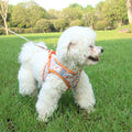 Pet Harness Leashvest-Style For Outdoor Use