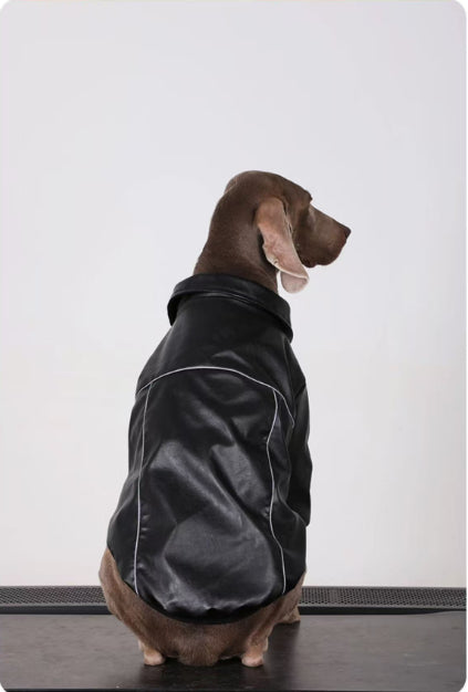 Autumn Black Leather Dog Jacket