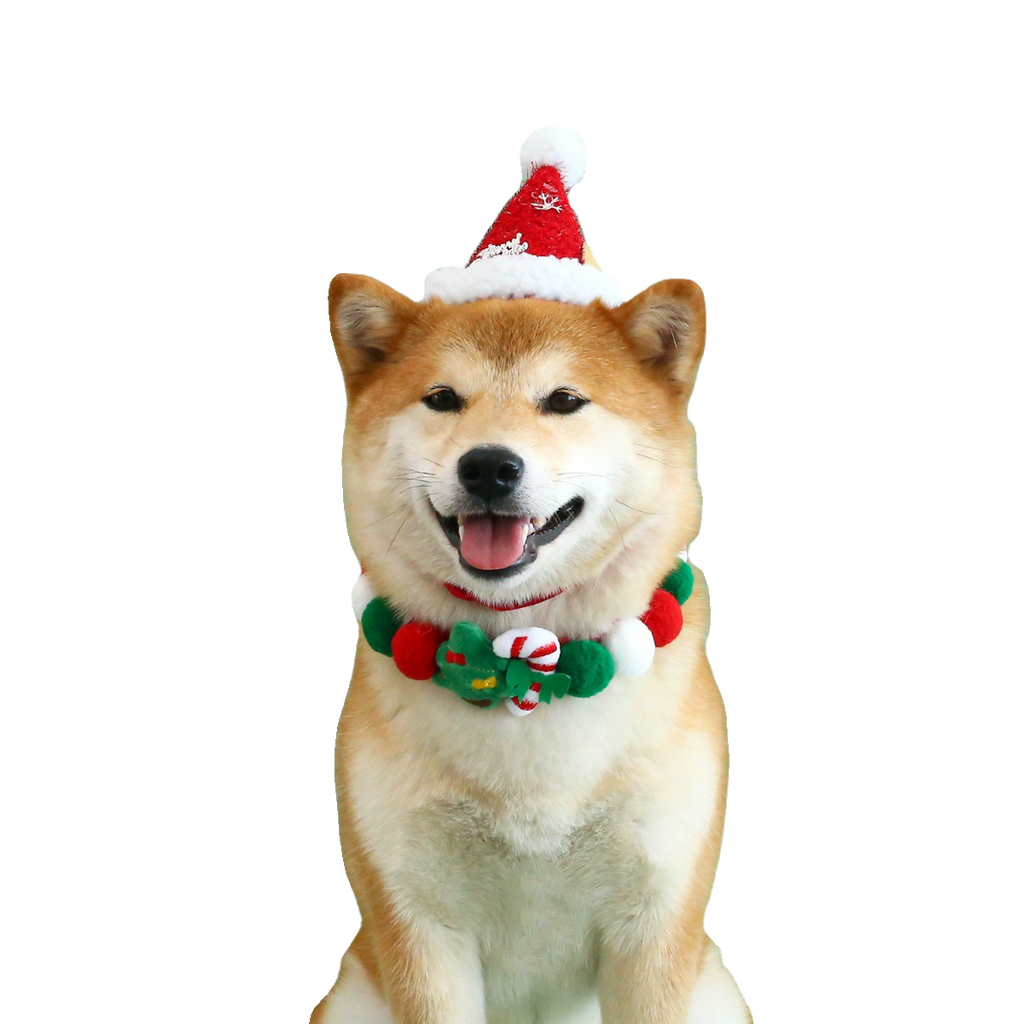 Christmas Series Pet Ball Collar