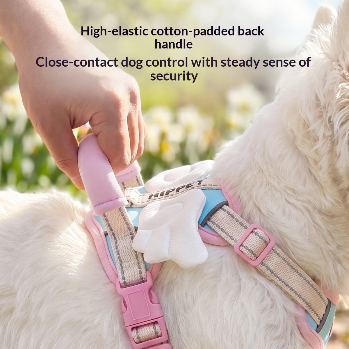 Angel Wings Vest-Style Dog Harness Leash