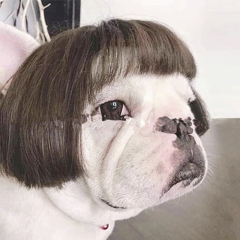 Dog Afro Wig With Bangs And Pigtail