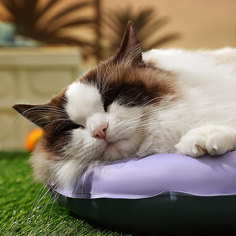 Durable and Easy to Clean Pet Ice Mat
